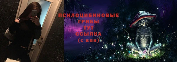 экстази Медвежьегорск