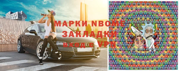 прущие грибы Мегион