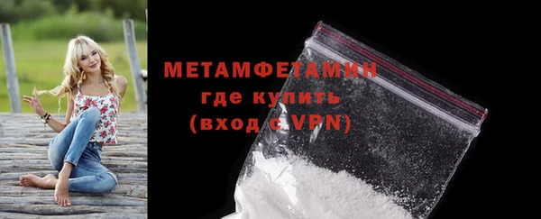 прущие грибы Мегион