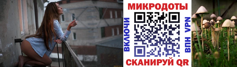 kraken как зайти  купить наркоту  Рассказово  Галлюциногенные грибы прущие грибы 