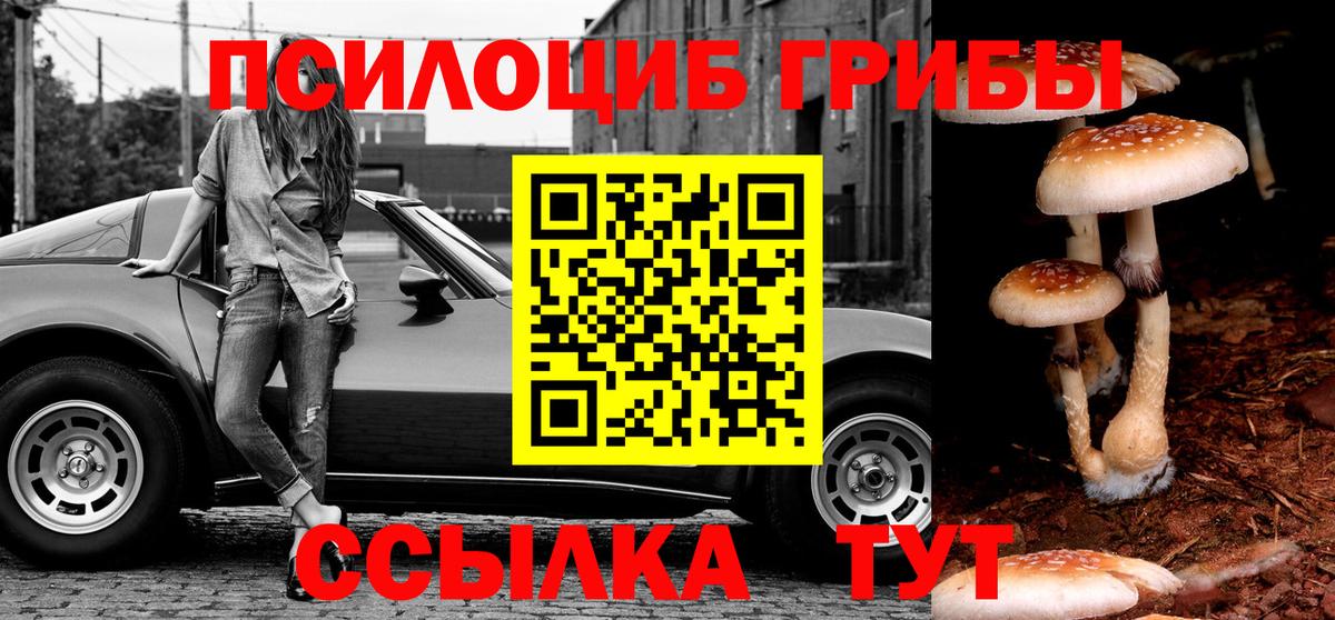 Псилоцибиновые грибы мухоморы Рассказово