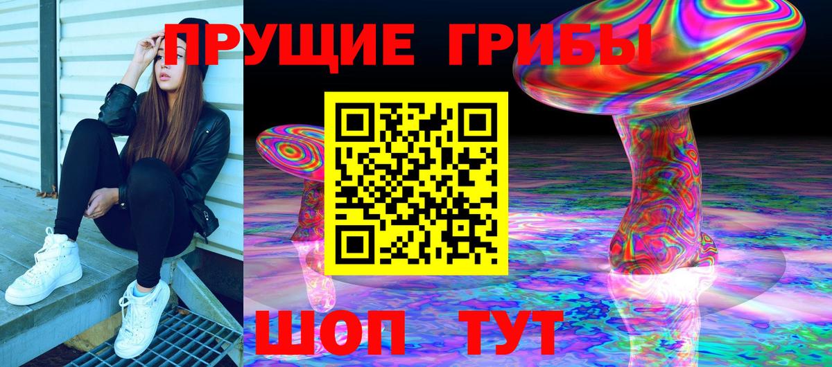 Рассказово  Псилоцибиновые грибы ЛСД  Псилоцибиновые грибы Psilocybe  Вход с VPN 